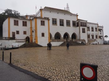 Tocht Te voet Sintra - Castelo - Photo