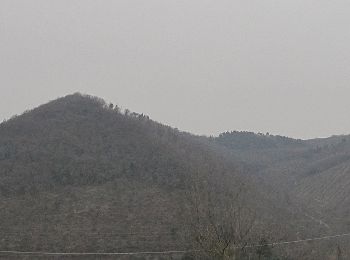 Tour Zu Fuß Bagno a Ripoli - Sentiero 0 – da Vallina a Poggio a Luco - Photo