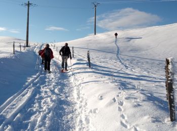 Tocht Sneeuwschoenen Les Moussières - Les poussières raquettes - Photo