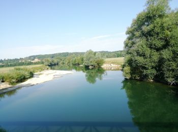 Randonnée V.T.T. Laneuville-sur-Meuse - 55 Laneuville Martincourt prairies et retour canal  - Photo