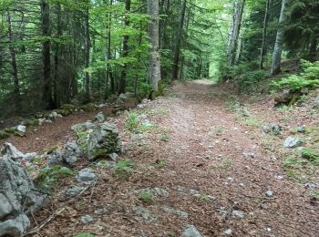 Trail Walking Chézery-Forens - col du sac - Photo