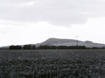 Randonnée A pied Hörselberg-Hainich - Kammweg Hörselberge (Roter Balken) - Photo