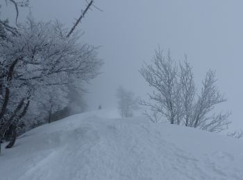 Trail Snowshoes Lans-en-Vercors - la moliere - Photo