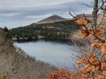 Trail Walking Saulzet-le-Froid - La banne d'Ordanche - Photo