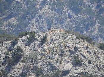 Trail On foot  - Western forts of Agia Roumeli - Photo