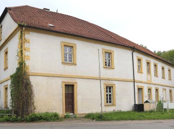 Randonnée A pied Lichtenfels - Klosterlangheimer Rundweg - Photo