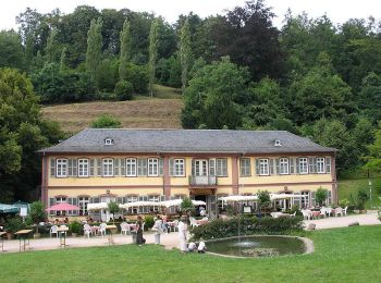 Excursión A pie Bensheim - Rundwanderweg Bensheim Herrenwingert 6: Eichelberg-Weg - Photo