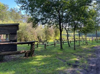 Tour Wandern Annéville-la-Prairie -  Etang d’Anneville - Photo