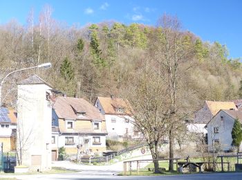 Tour Zu Fuß Etzelwang - Rundweg um Lehenhammer - Photo