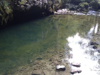 Tour Wandern Saint-Claude - Crêt pourri - Photo