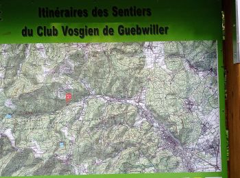 Trail Walking Lautenbachzell - Linthal - Lac du Ballon (28/5/2020) - Photo