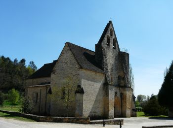 Tocht Te voet Sainte-Nathalène - Sentier du Manoir d'Eyrignac - Photo