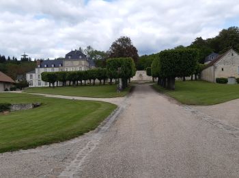 Tocht Stappen Serans - Chemin de Serans - Photo