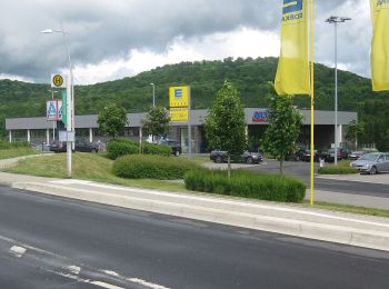 Tour Zu Fuß Bad Emstal - Bad Emstal, E10 - Erzebergweg - Photo