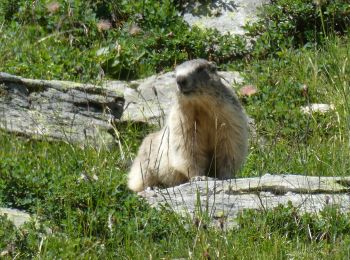 Randonnée Marche Aussois - 2024 les refuges  d'Aussois  - Photo