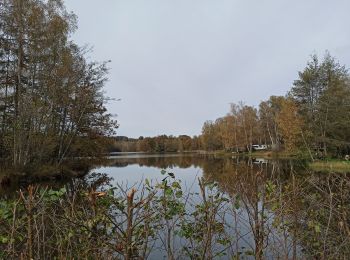 Tocht Stappen Écromagny - reco ecromagny : etangs grande chaussee, du feu, plate Pierre - Photo