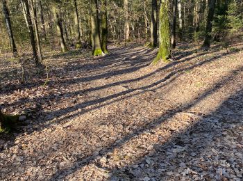 Trail Walking Sillingy - Âge tt à droite - Photo