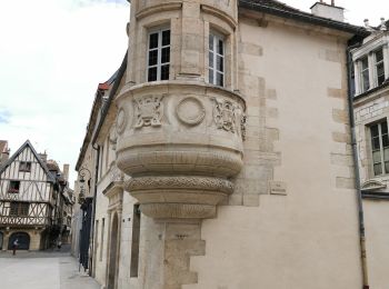 Tocht Stappen Dijon - visite de Dijon - Photo