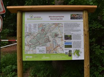 Trail On foot Hofgeismar - Westbergrunde - Photo