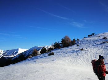Tour Schneeschuhwandern Prads-Haute-Bléone - crête du carton - Photo