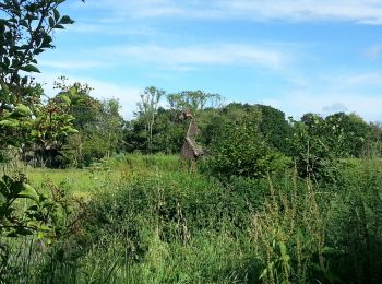 Tour Wandern Saint-Malo - Le Val Riant - 10km 135m 3h15 - 2017 06 28 - Photo