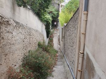Randonnée Marche Marseille - Chemin du Roucas Blanc - Photo