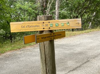 Trail Walking Saint-Lary-Soulan - malamete-lac-nere-hourquette-d'aubert-depuis-oredon - Photo