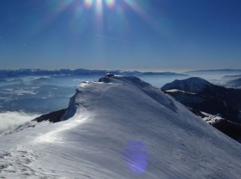 Randonnée Ski de randonnée Gap - Pic de Gleize à Ski - Photo