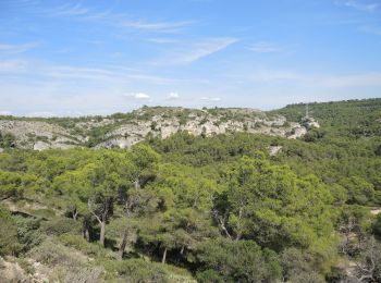 Trail Walking Salon de Provence - PF-Le Tallagard - Sentier des Abeilles - Photo