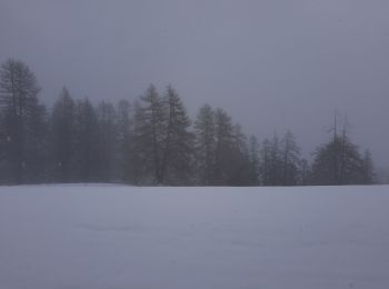 Percorso Marcia Puy-Saint-Pierre - pentes du prorel sous la neige de printemps  - Photo