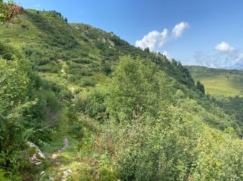 Trail Walking Hauteluce - Lac girotte  - Photo