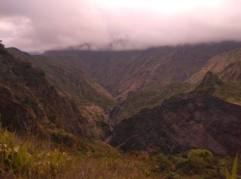 Tocht Trail Cilaos - Cilaos/possession  - Photo