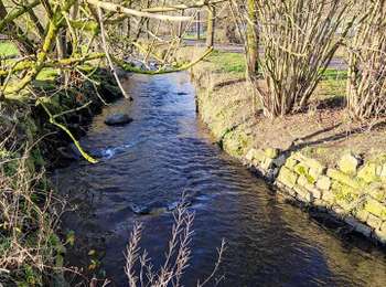 Trail Walking Olne - Balade de la Magne à Olno   - Photo