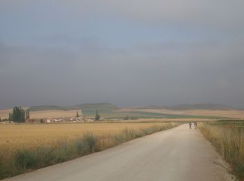 Tour Wandern Itero de la Vega - CC_Frances_CC_15_Itero-Vega_Villalcazar-Sirga_20110706 - Photo