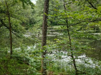 Tour Wandern Ternuay-Melay-et-Saint-Hilaire - melay  - Photo