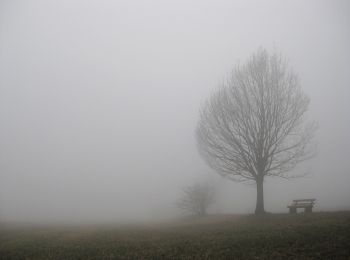 Randonnée A pied Waldbrunn - Rundwanderweg 51: Holdergrund-Weg - Photo