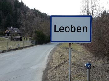 Percorso A piedi Leoben - Iron man trail - Photo