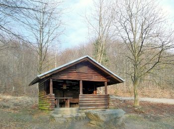 Tocht Te voet Auetal - L2 Rundwanderweg Lauenau Nr. 2 - Photo