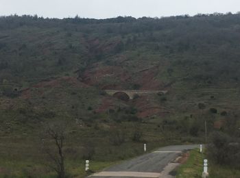 Excursión Coche Villeneuve-lès-Béziers - Lac du Salagou 16032021 - Photo