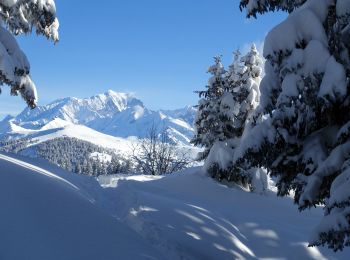 Tour Schneeschuhwandern Hauteluce - 2021-01-26 - Photo