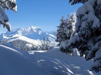 Percorso Racchette da neve Hauteluce - 2021-01-26 - Photo