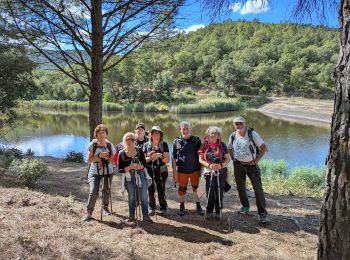 Tour Wandern Collobrières - forêt de Collobrières - Photo