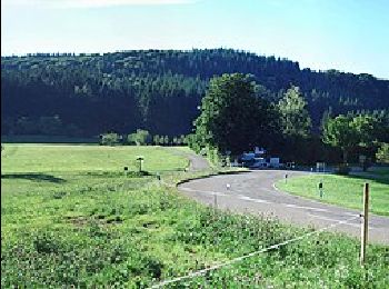 Randonnée A pied Kenzingen - Bleichheim - Raubühl - Photo