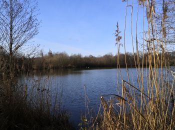 Tocht Stappen Brognard - tour des étangs de Brognard  - Photo