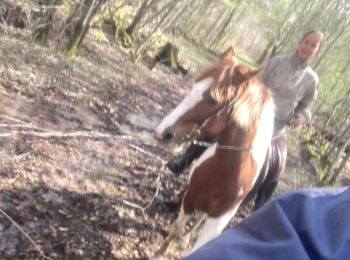 Trail Horseback riding Bénaménil - Sortie benamenil  - Photo