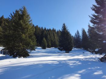 Tocht Sneeuwschoenen Verchaix - Plateau de Loex - Photo