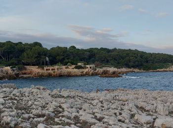 Tour Wandern Antibes - Cap d'Antibes - Photo