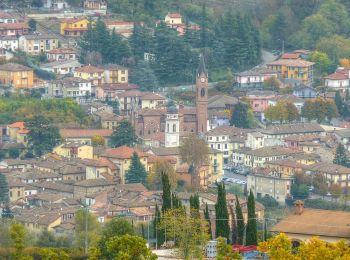 Randonnée A pied Godiasco Salice Terme - Anello dell'Alta Collina - Photo