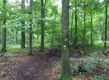 Trail On foot Bad Emstal - Rundwanderweg 