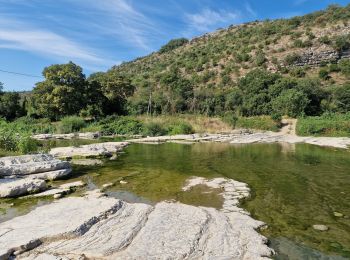 Tour Laufen Rosières - 13km - Photo